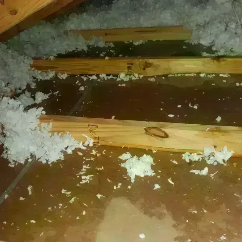 Attic Water Damage in Foresthill, CA