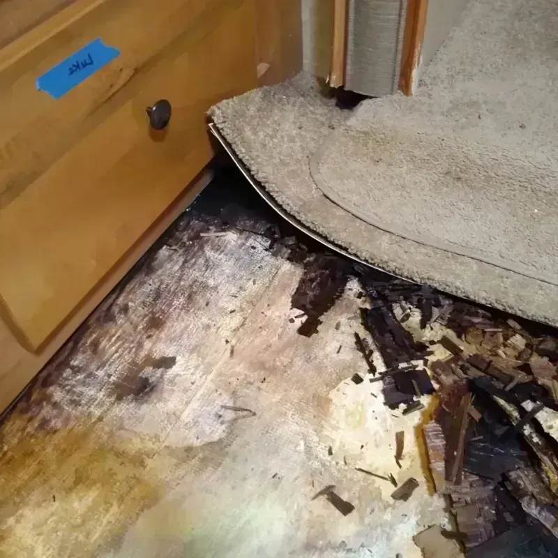 Best Wood Floor Water Damage Service in Foresthill, CA